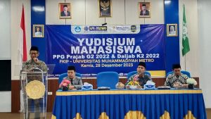 ppg ummetro